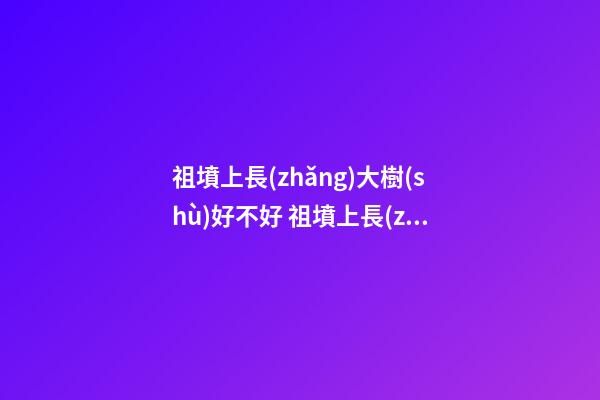 祖墳上長(zhǎng)大樹(shù)好不好 祖墳上長(zhǎng)大樹(shù)要連根拔起